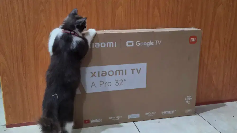 Xiaomi TV A Pro 32 2026