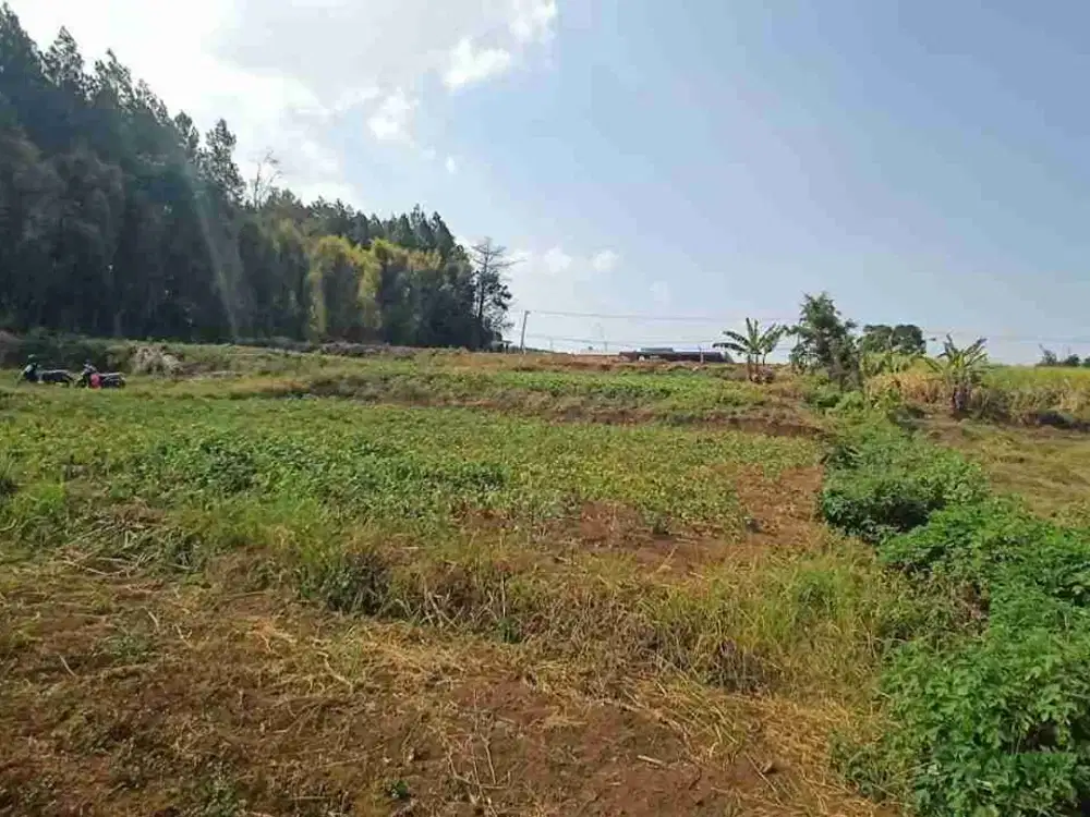 Dijual Tanah Raya Jedong Wagir Malang Jawa Timur