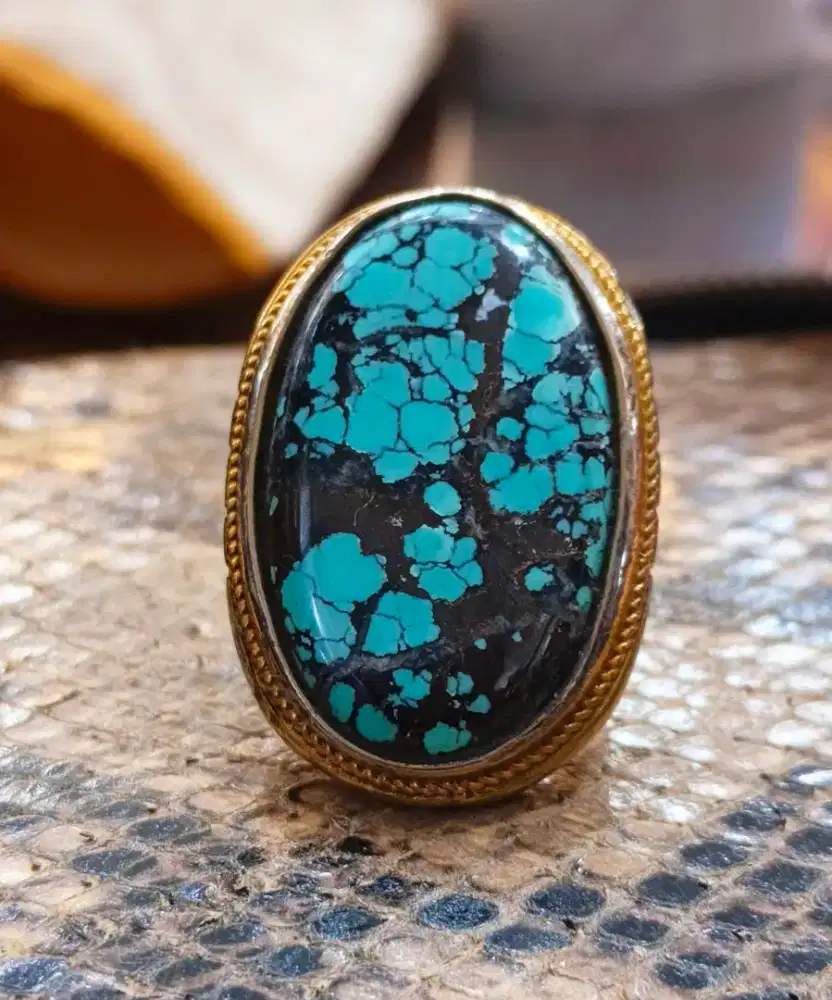 Pirus persia Jumbo