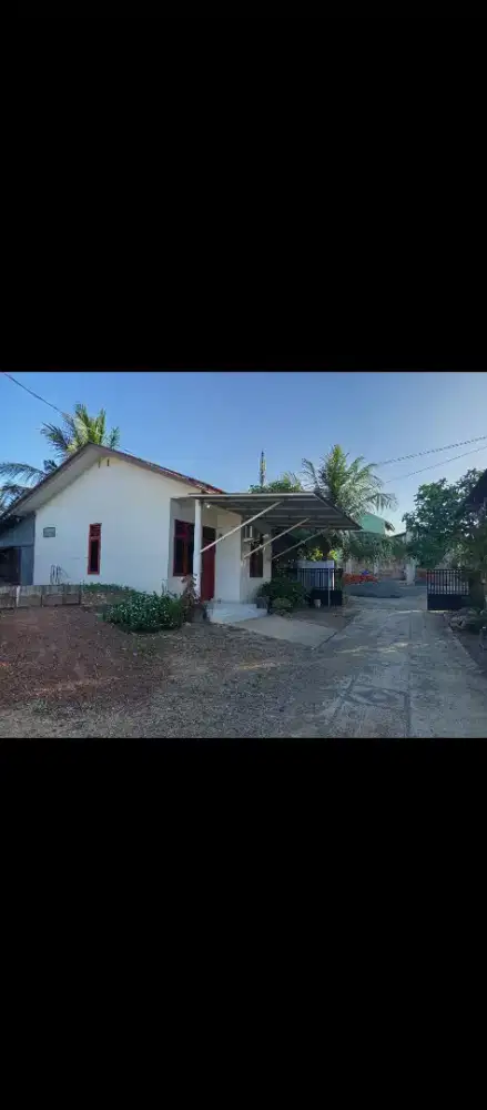Disewakan rumah pribadi,khusus untuk keluarga atau cewek
