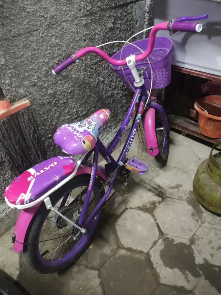 Sepeda anak 3 sd 5 tahun