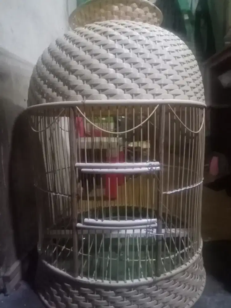 Sangkar perkutut BARU