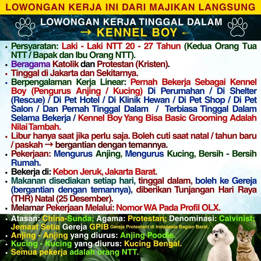 KENNEL BOY ASAL NTT ART LAKI - LAKI ASAL NTT AGAMA KATOLIK & PROTESTAN