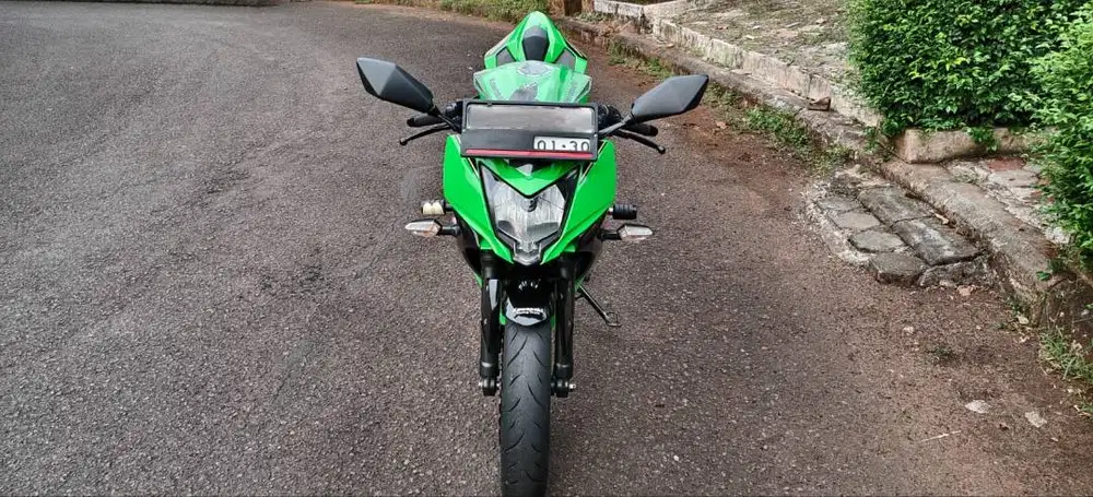 Kawasaki NInja 250 SL KRT ( RR Mono )