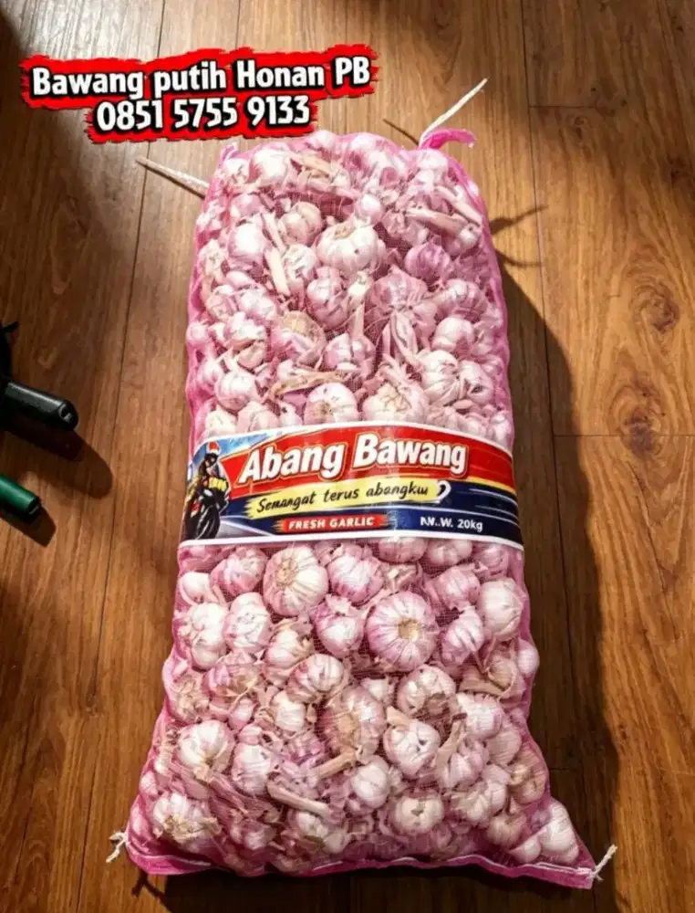 Jual Bawang Putih Honan PB