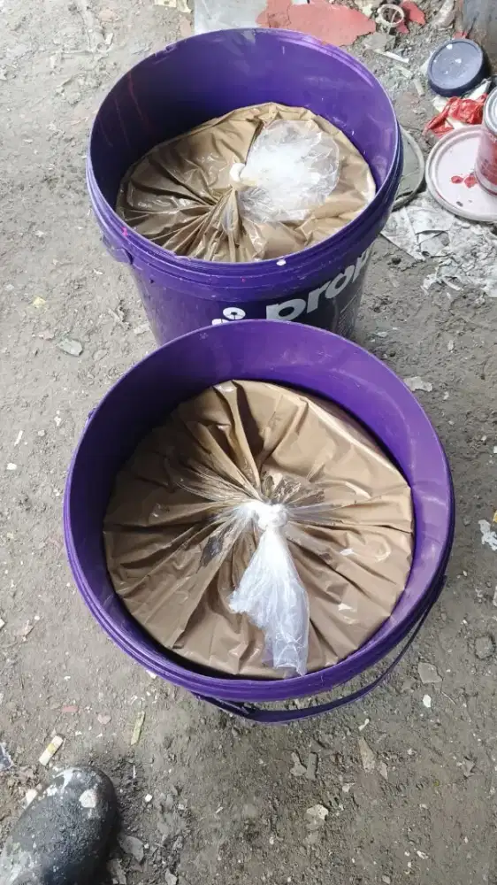 Jasa mewarnai rumah dan bangunan
