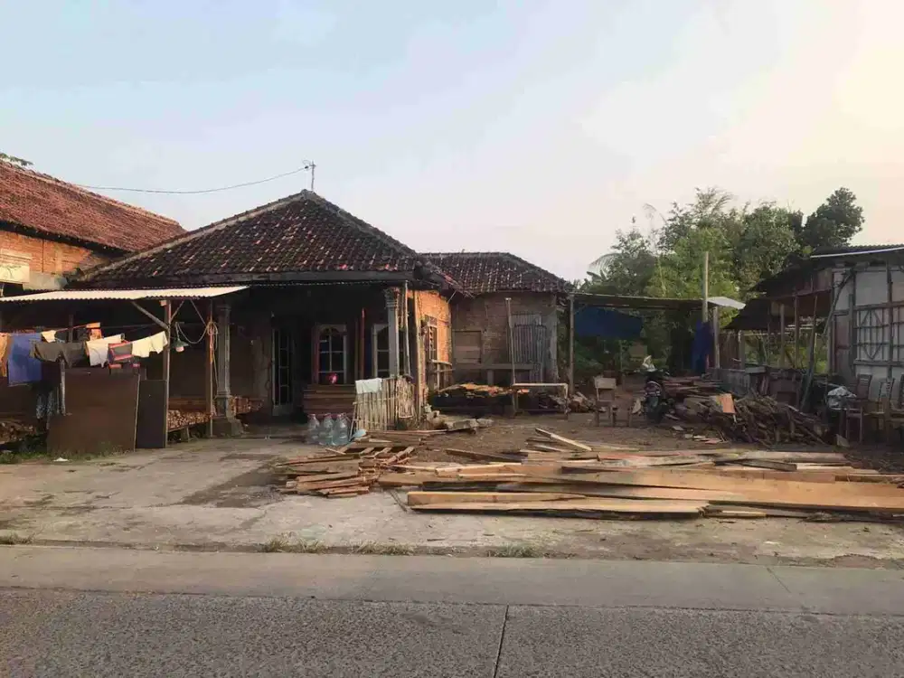 DIJUAL TANAH DEMAK PINGGIR JALAN RAYA, DI BOTOREJO, WONOSALAM DEMAK