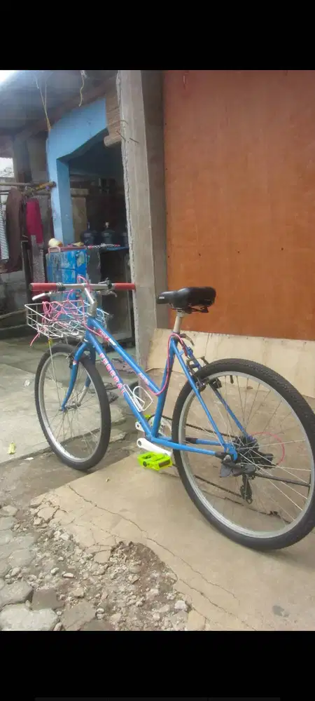 Lady bike (no brand)