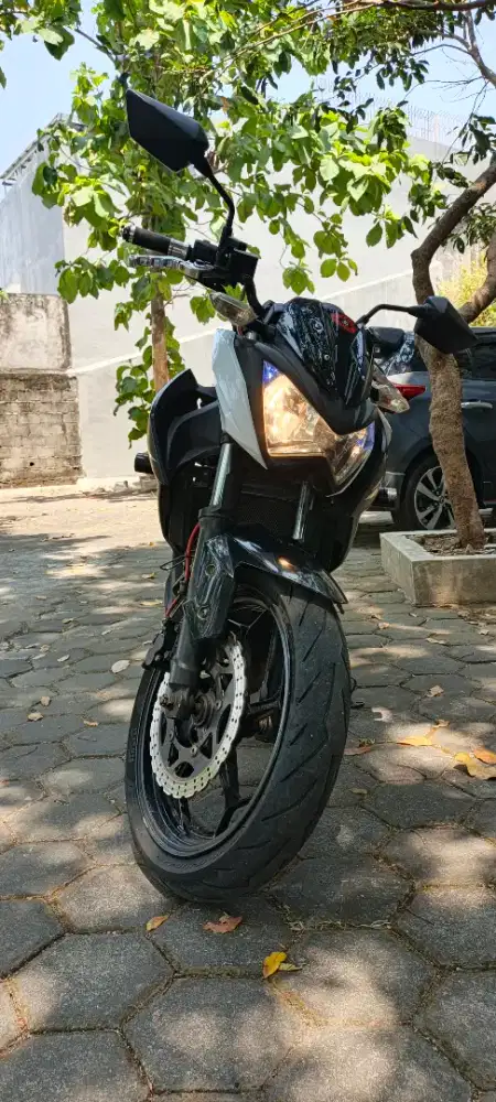 Kawasaki Z 250 fi 2014