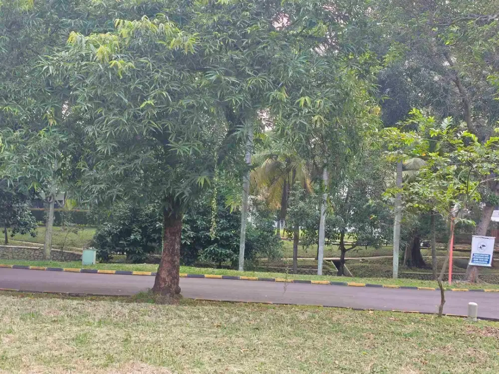 kavling Asri view Sungai lokasi Depan Puspita loka BSD city