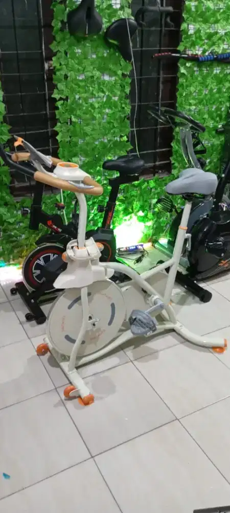 Jual sepeda statis kesayangan