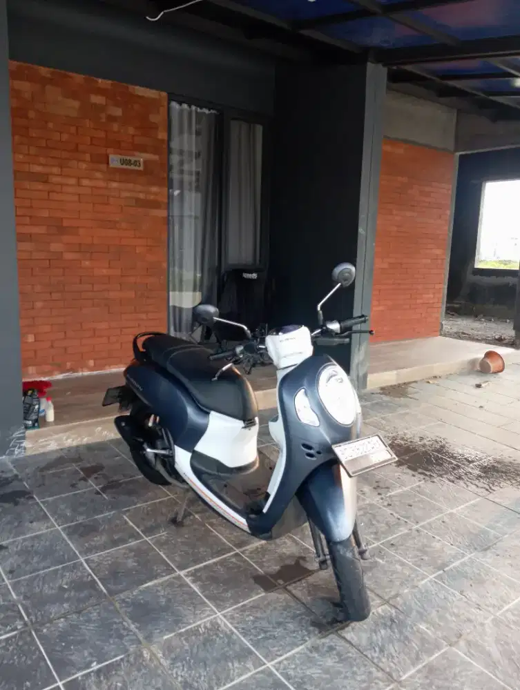 Scoopy Fashion Navy 2022