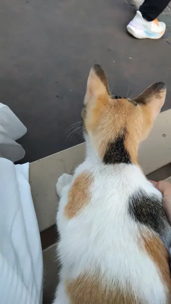 Mencari pekerjaan, siap antar jemput,cleaning service ataupun packing2