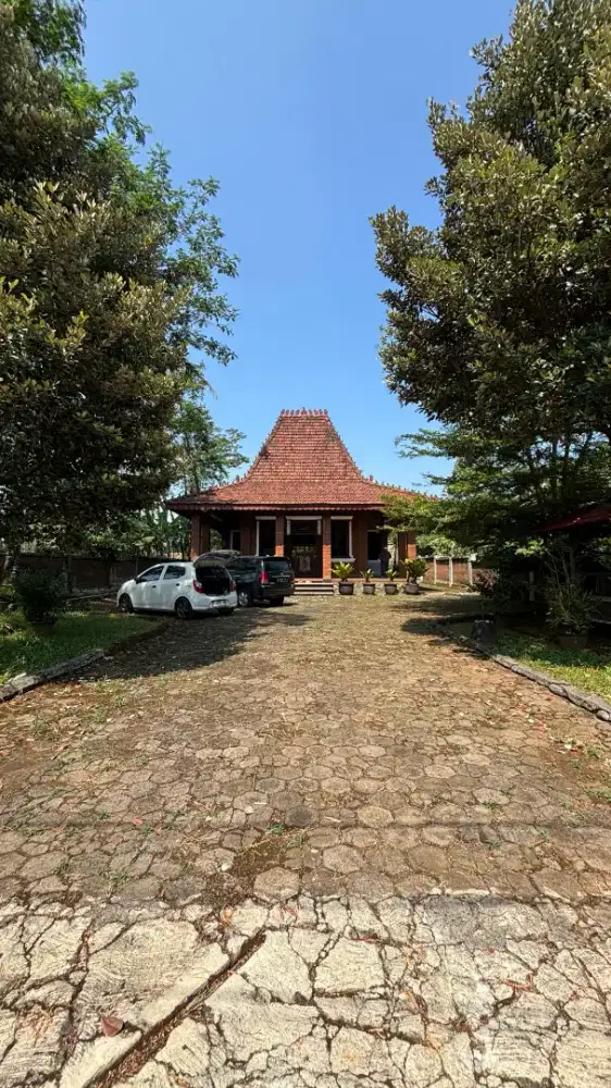 DIJUAL TANAH PLUS RUMAH JOGLO COCOK UNTUK SLOW LIVING