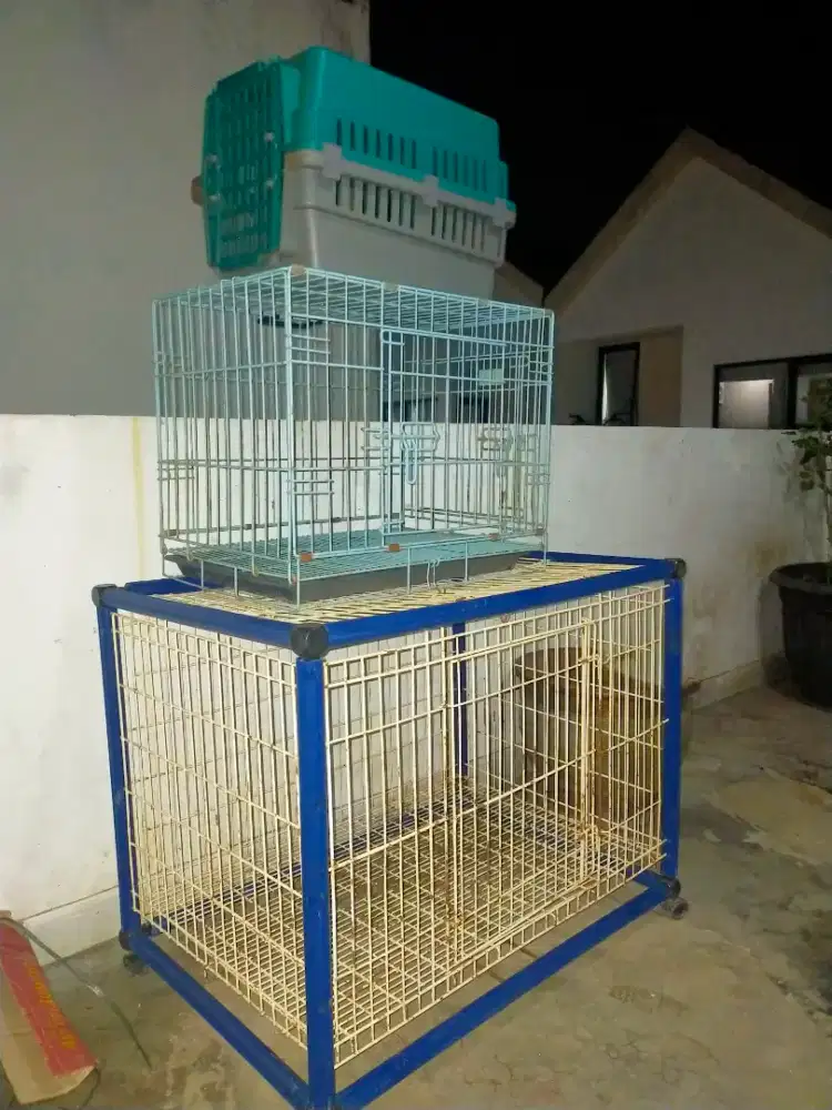 Kandang second 1 set