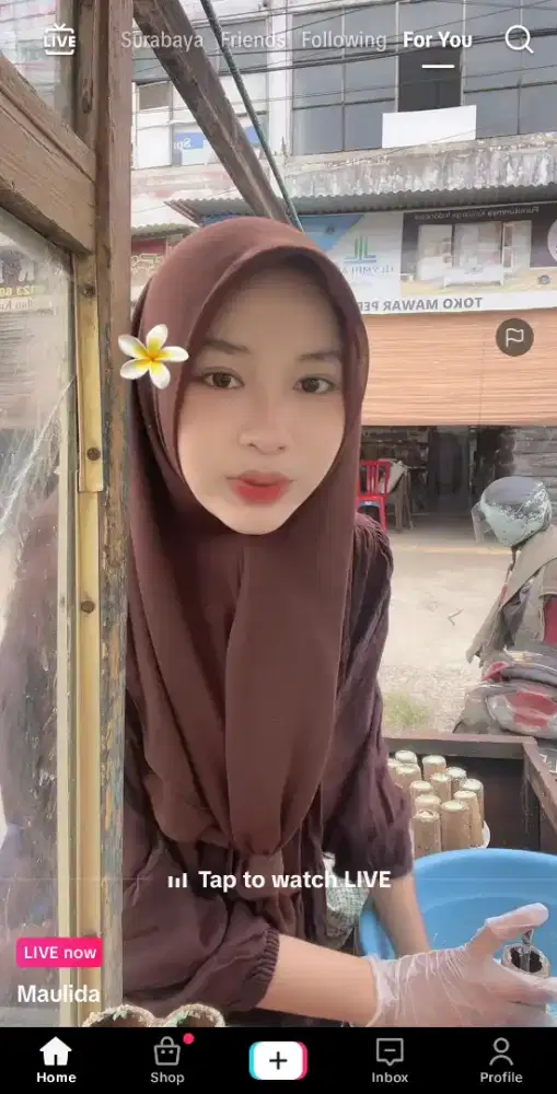 Pembantu ART PRT (langsung Majikan)