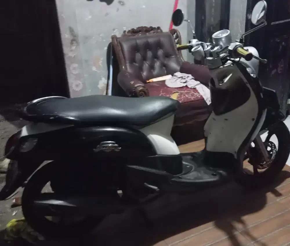 TAMAHA FINO CLASIC 2012