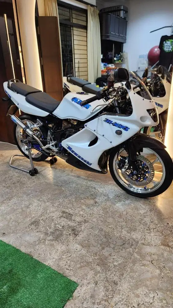 Ninja rr old albino