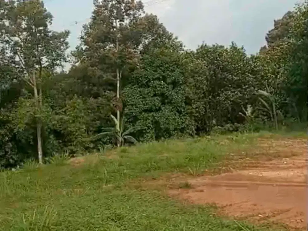 Dijual Tanah 70 Hektare SHM di Lewi Batu Rumpin – Bisa Beli Sesuai Kebutuhan