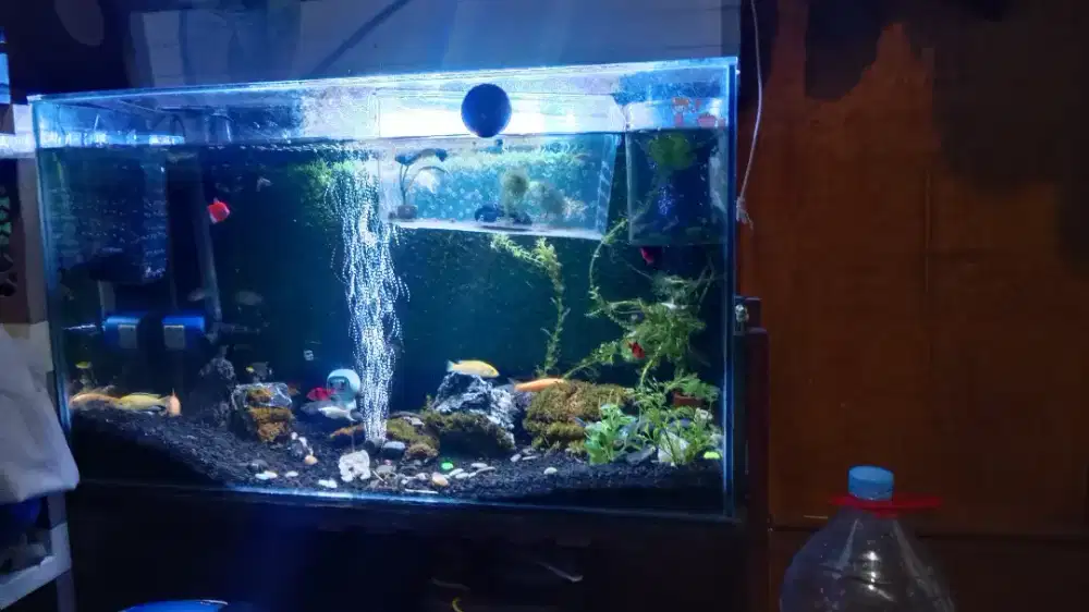 Jual Aquarium Full Set