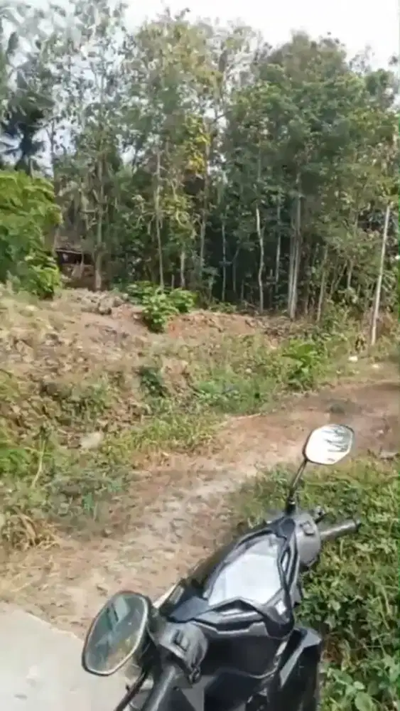 Termurah tanah SHM Pekarangan di argodadi Sedayu Bantul Yogyakarta