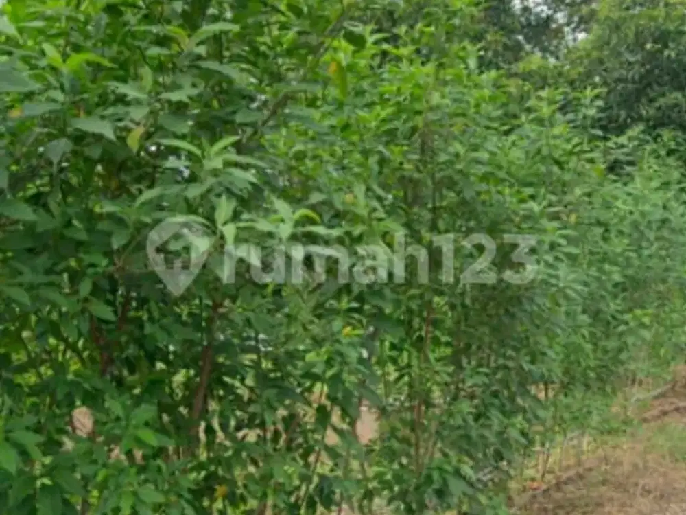 Tanah Siap Bangun Strategis Dalam Cluster di Bsb Mijen A5470