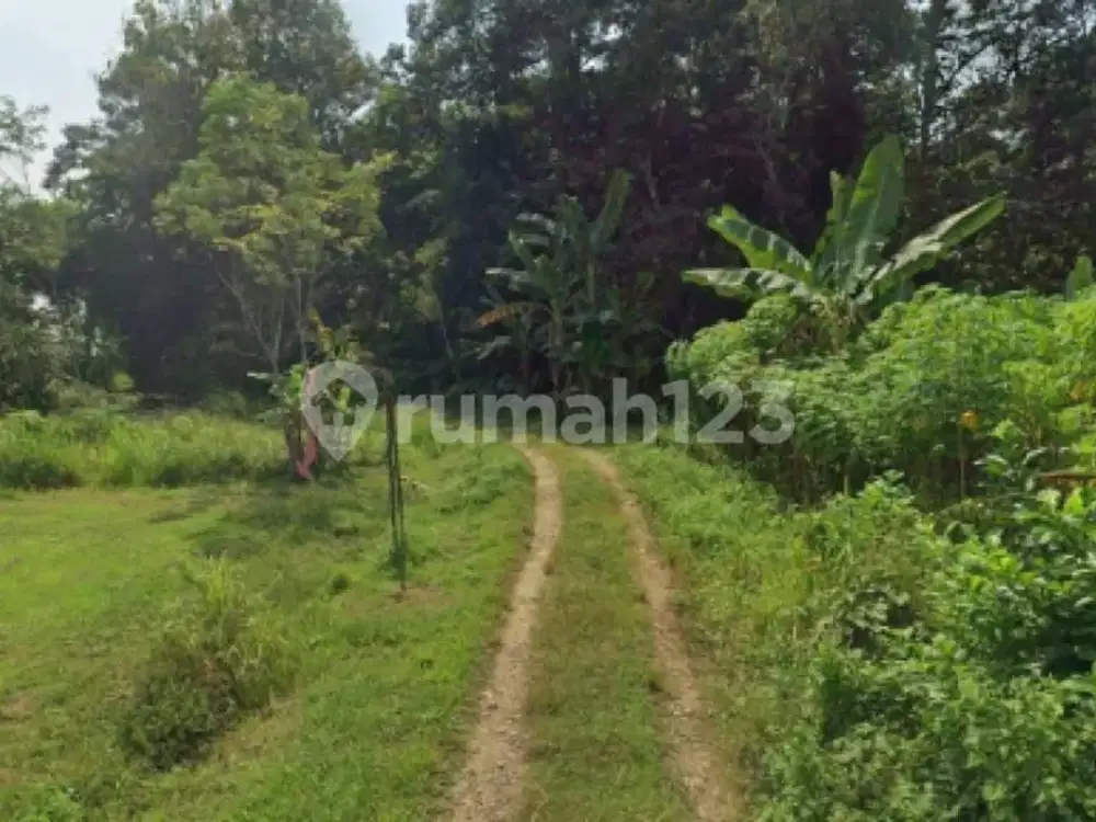 Tanah Murah Luas Siap Bangun di Gunung Pati A5516