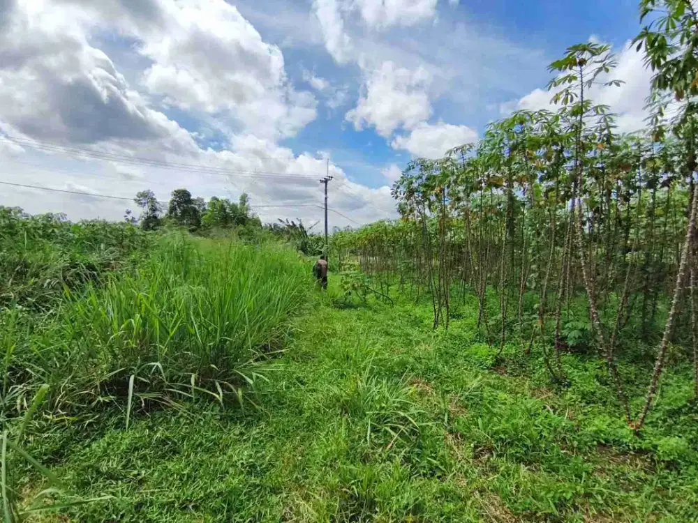 Dijual Tanah 768 m2 Murah Strategis  di Tajur Halang Bogor Dekat Stasiun Bojonggede