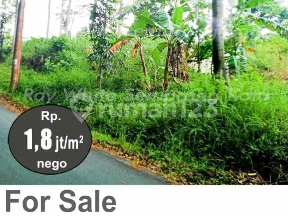 Tanah Siap Bangun Strategis di Pudak Payung A5619