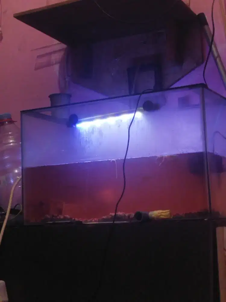 Jual aquarium masih mulus tinggal di lap