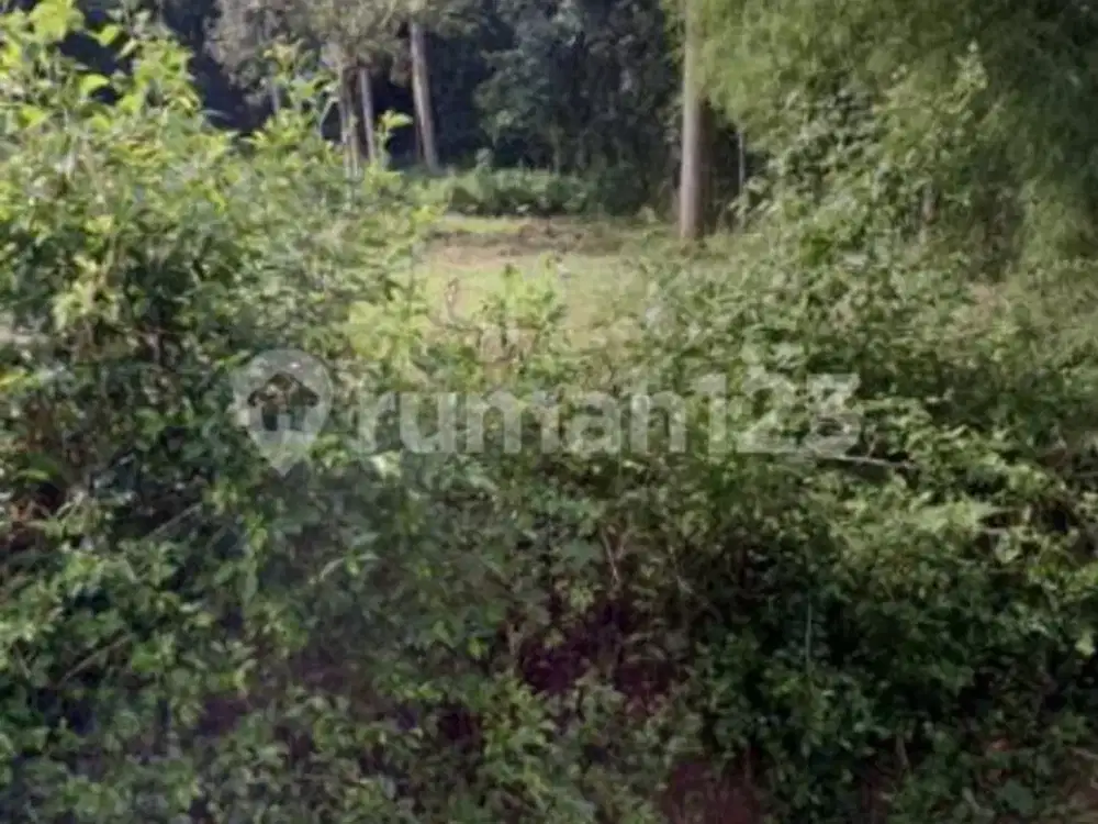 Tanah Murah Siap Huni di Gunung Pati A5874