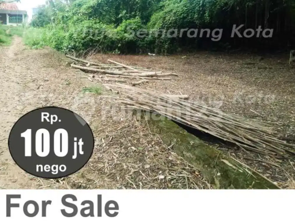 Tanah Murah Luas Siap Bangun di Ngaringan Grobogan A5902