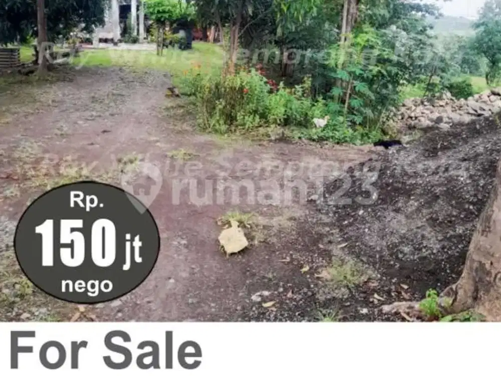 Tanah Murah Luas Siap Bangun di Pangkah Tegal A5907