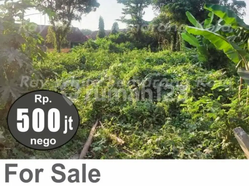 Tanah Murah Siap Bangun di Widorokandang Pati A6006