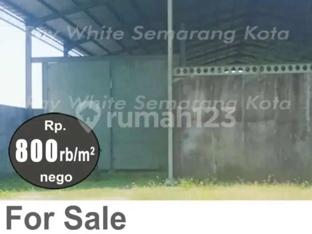 Gudang Murah Siap Pakai di Mranak Demak A5497