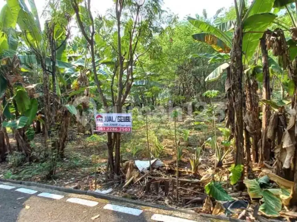 Tnh jual di purwoyoso Ngaliyan Semarang