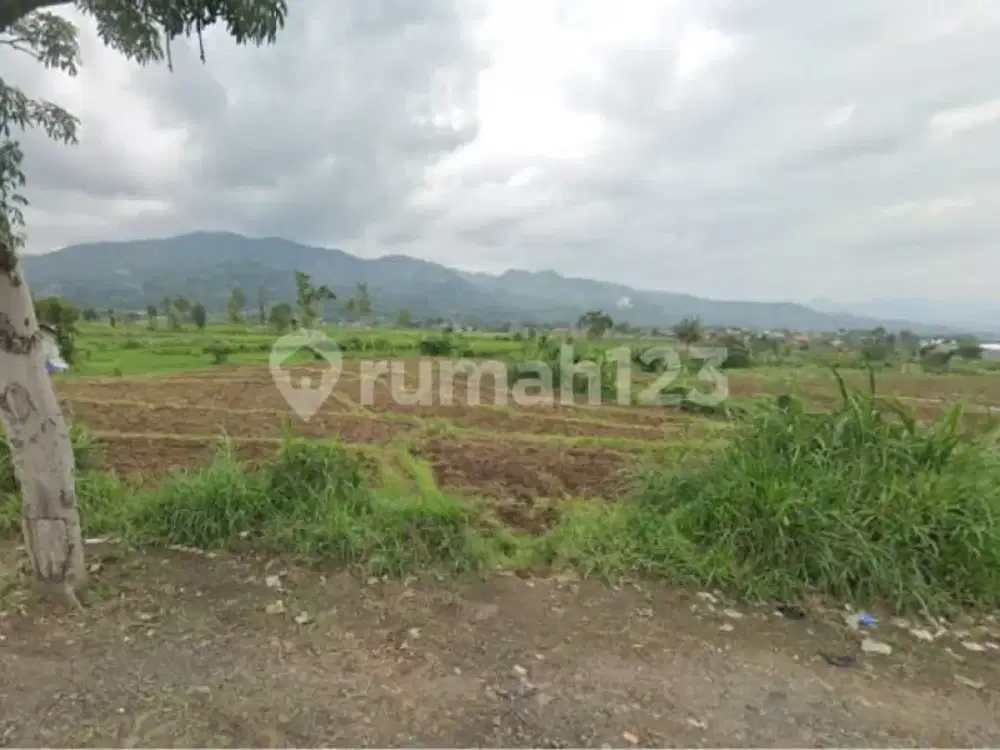 Tanah Luas Murah Lokasi Wisata di Pangalengan