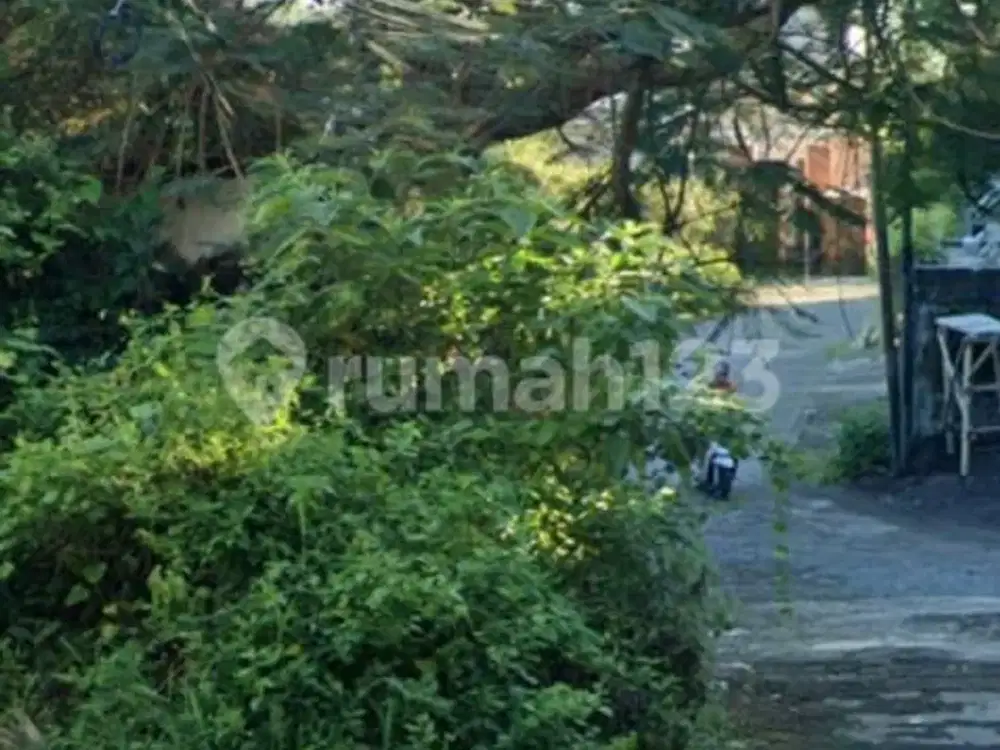 Tanah Premium Pinggir Jalan Nusa Dua Cocok untuk Investasi