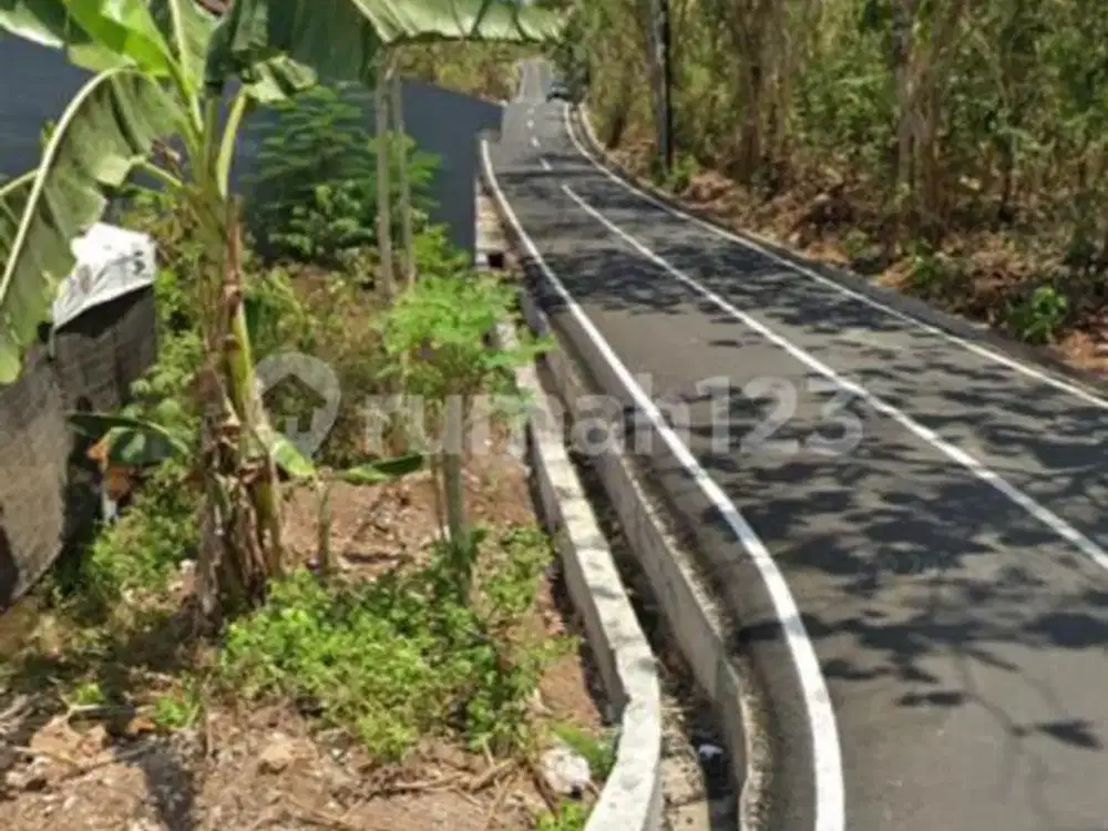 8 Juta Per Are Cocok untuk Usaha Kos Kosan Disewakan Cepat
