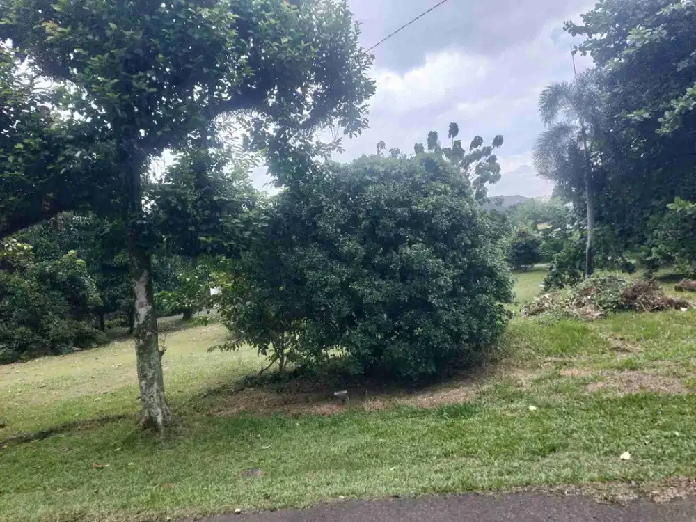 Kavling Murah  1890 meter , Jl Juanda Bogor