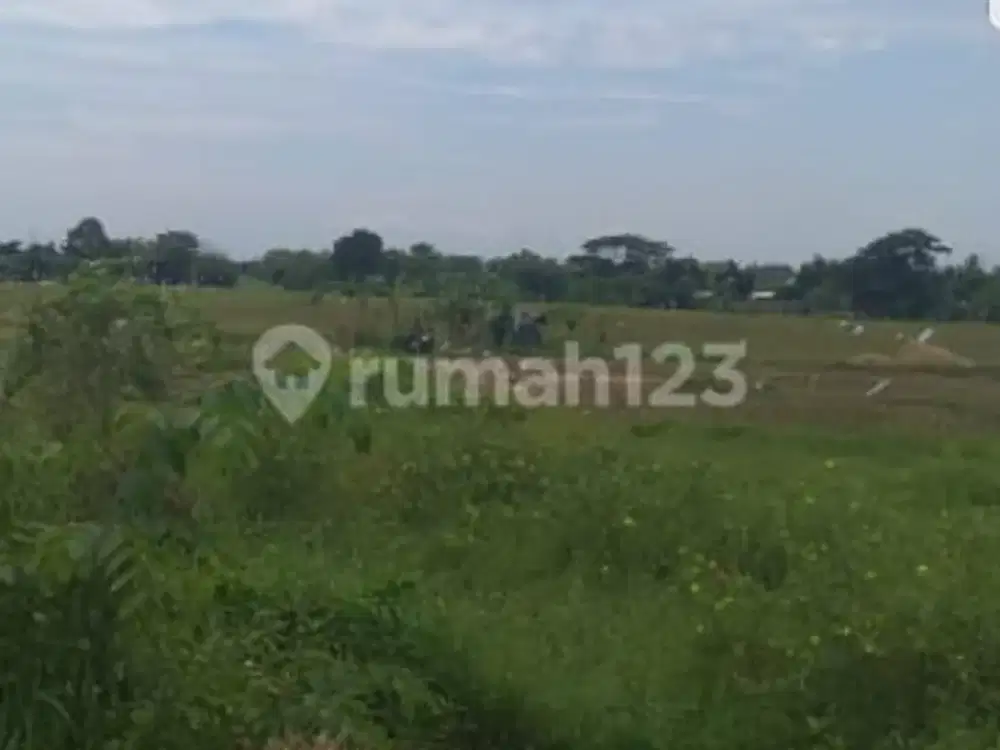 Tanah 65 Hektare Di Ciruas, Serang, Banten.