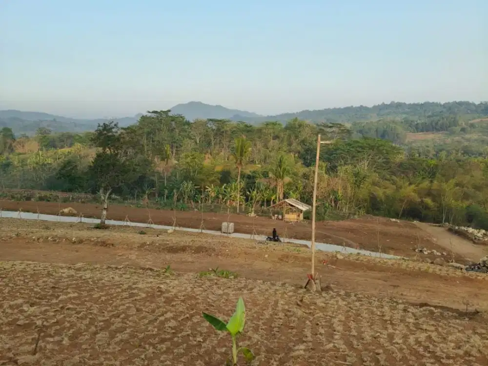 Jual Tanah Murah SHM di Bogor View Keren sekitar Cikarang Bekasi Cileungsi Cibubur Sentul Jonggol Depok Nempel Jln raya di Cor listrik underground