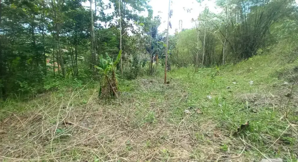 Tanah di jual cepat lokasi masuk lokasi di Cijawura hilir
