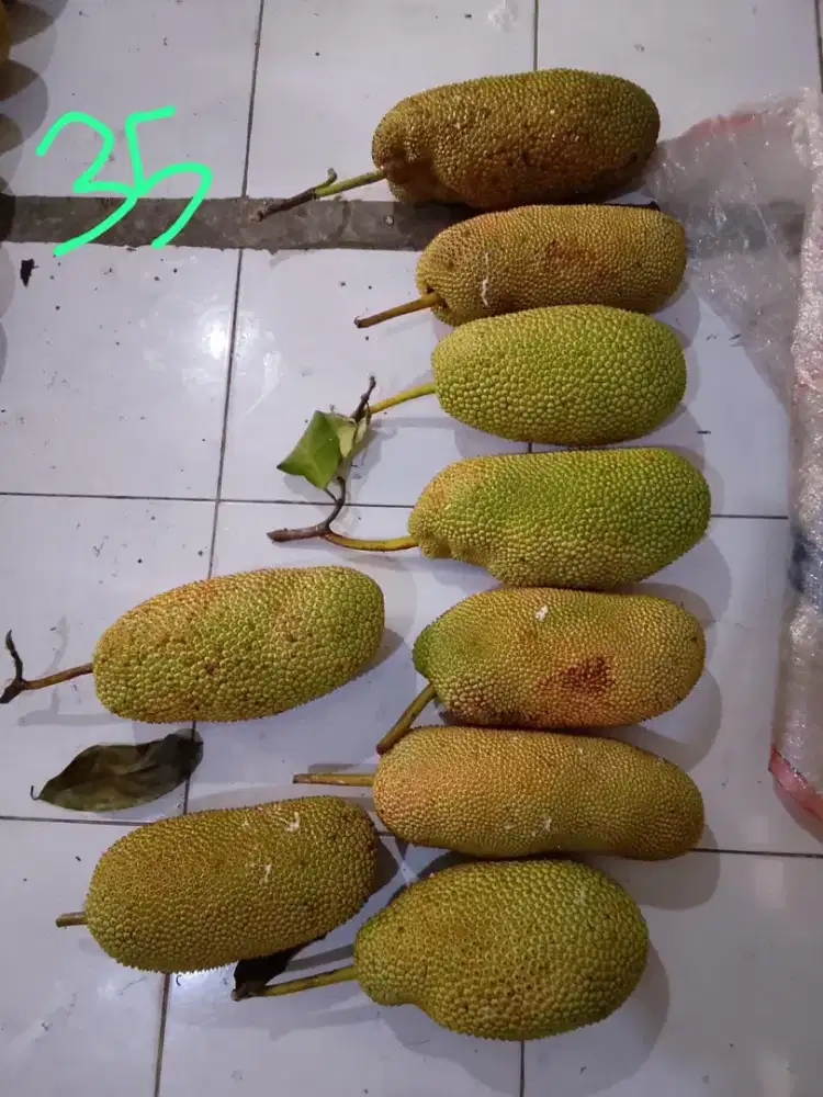Jualan campedak matang