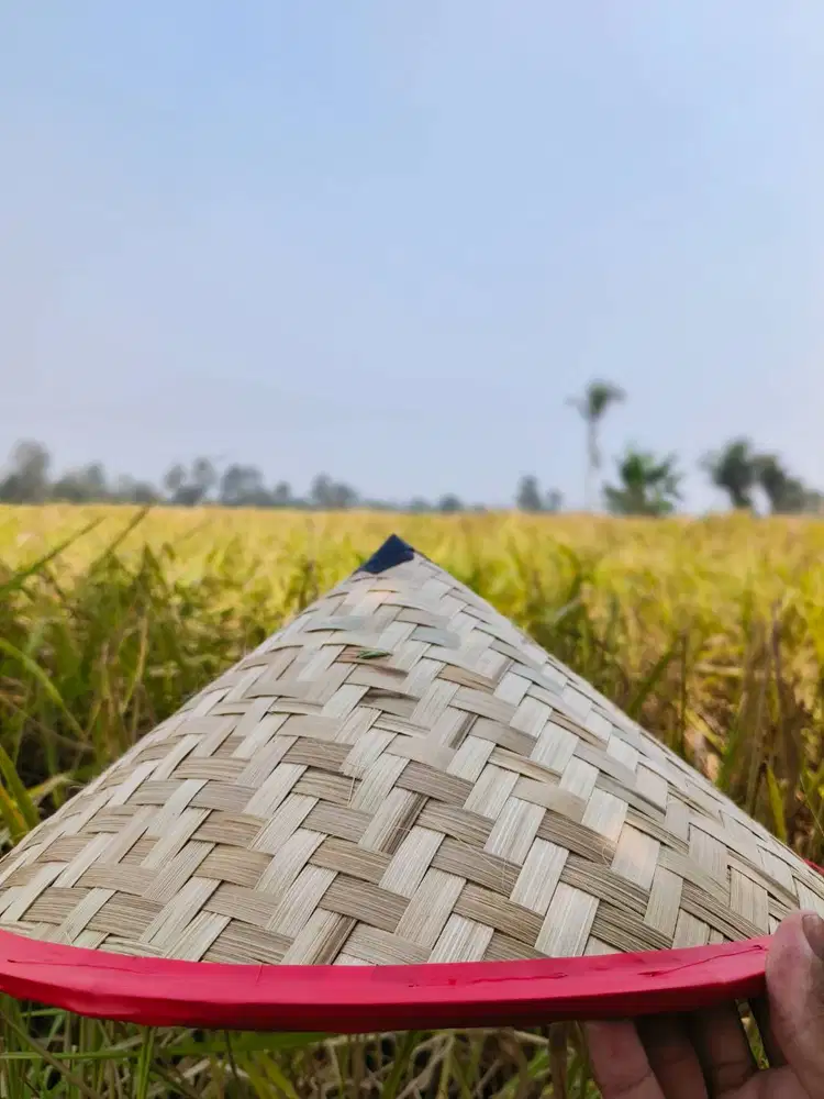 Mencari gawian yg tanpa lamaran/modal ktp hja, hgn ulun lulusan pondok