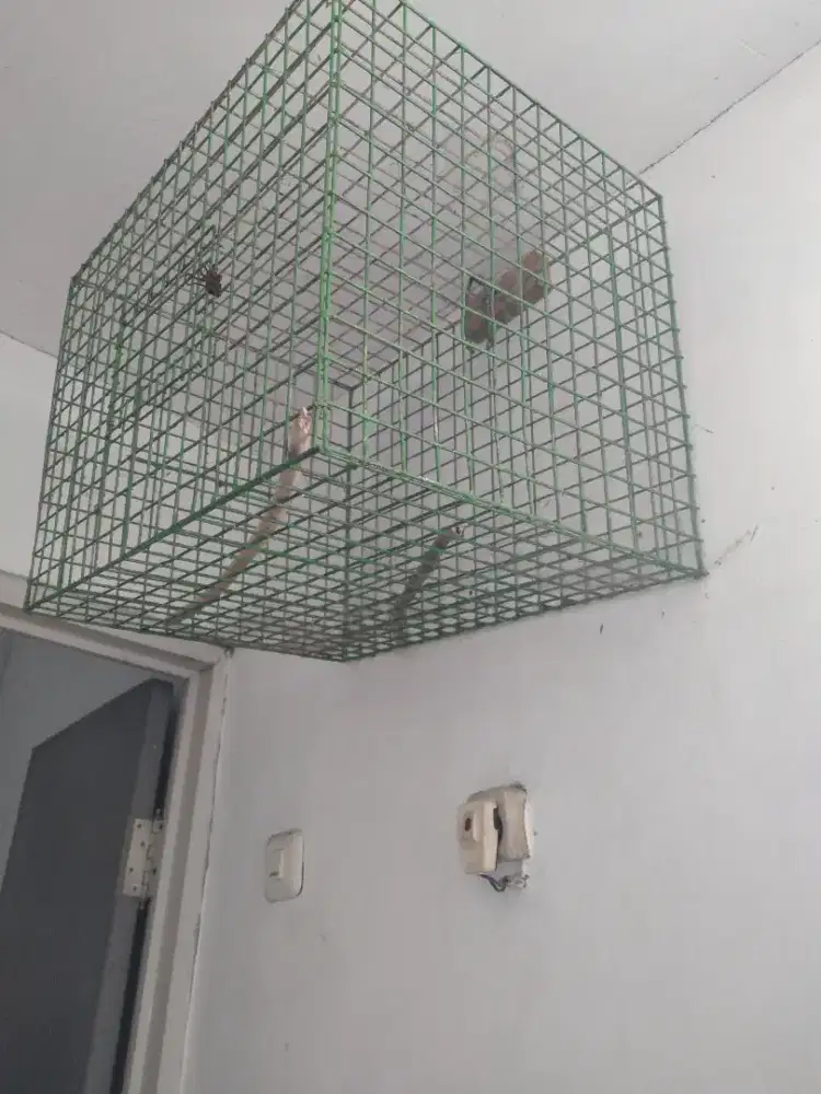 Kandang burung multifungsi