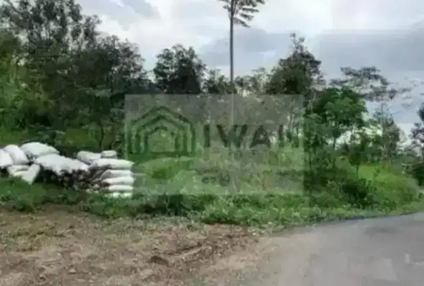 Tanah Kebun Alpukat Luas & Murah Iklim Sejuk Hadap Jalan DPU