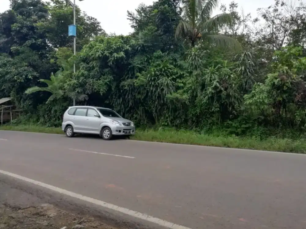Dijual Tanah 5.540 m2 SHM Jln Raya Cipanas KM 14, Sajira Lebak Baknten