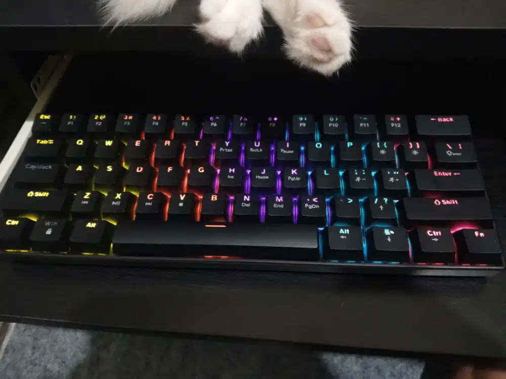 Keyboard Mechanical Blue Switch Layout 60%