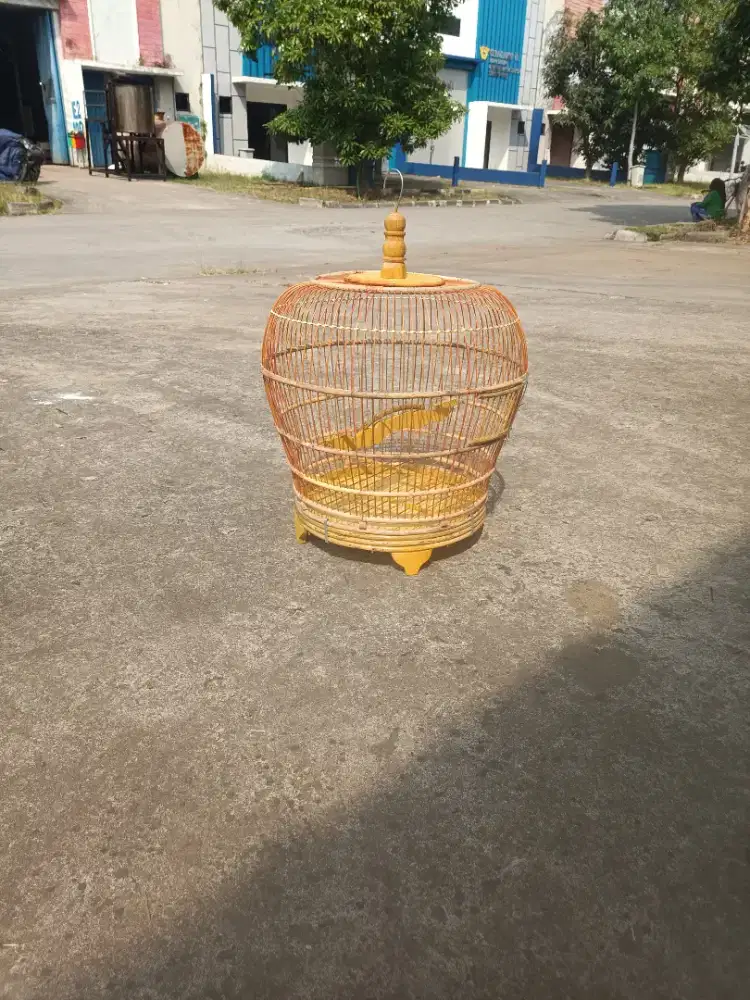 Sangkar burung derkuku puter kutut